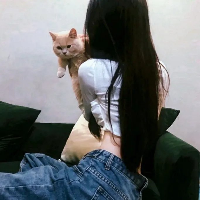 幸运狗狗来造访
